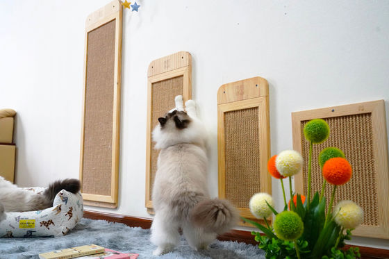 Sisal durável Cat Scratcher Post Place Floor fixada na parede 40*30cm 30*76cm 40*120cm