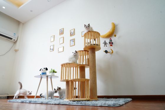 Casa durável Kitten Cat Climbing Tree Tower Condo com risco de cargos