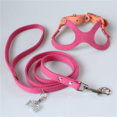 Hallupets Mesh Padded Collar Leash Harness macio ajustou a caixa do cão e a tração traseira