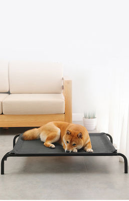 Cama elevado do cão do grande berço confortável de aço da cama do animal de estimação da dobradura do tubo do tamanho com os coxins engrossados do luxuoso