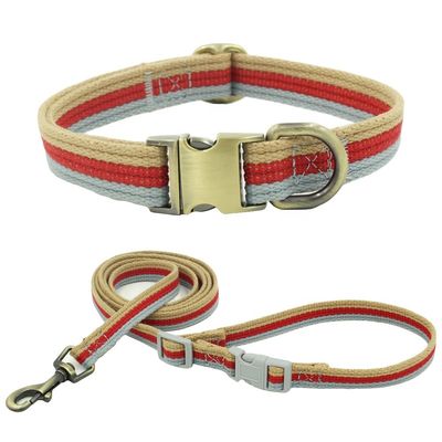 Grupos de bronze gravado do colar e da trela do Webbing da cor da trela 3 do cão da corda da curvatura da liga