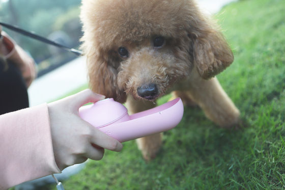 Chaleira pequena do animal de estimação de Mini Portable do cão do distribuidor dobrável cor-de-rosa da garrafa de água do cão