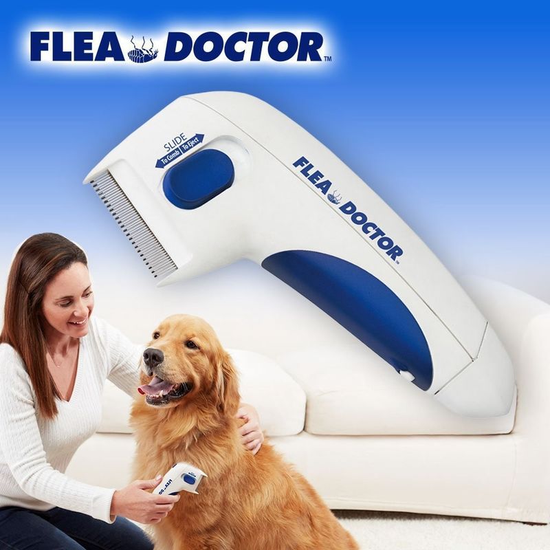 Do removedor elétrico do pente da pulga do animal de estimação do cão de Hallupets pulga elétrica e Tick Comb