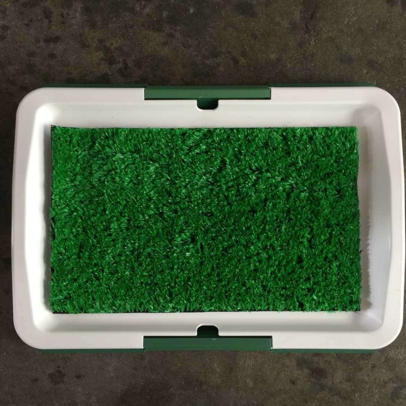 A preparação removível limpa fácil do animal de estimação da tampa utiliza ferramentas a bandeja interna 1378g do urinol do cão