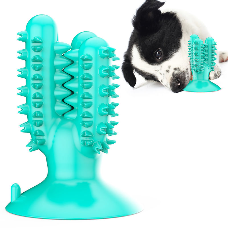 Brinquedos da mastigação do cão do cacto do silicone TPR da escova de dentes do cão para os dentes