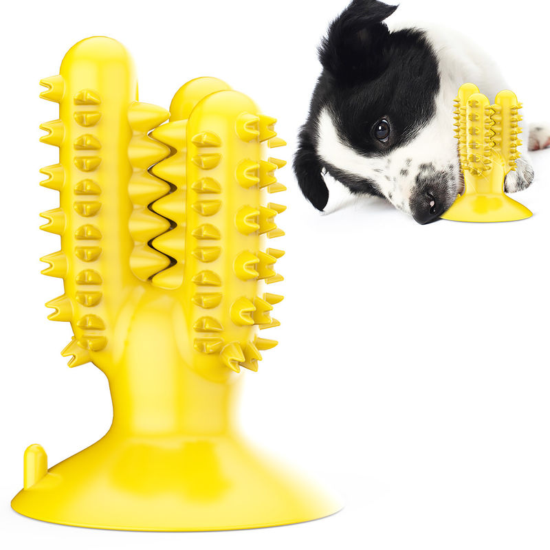 Brinquedos da mastigação do cão do cacto do silicone TPR da escova de dentes do cão para os dentes