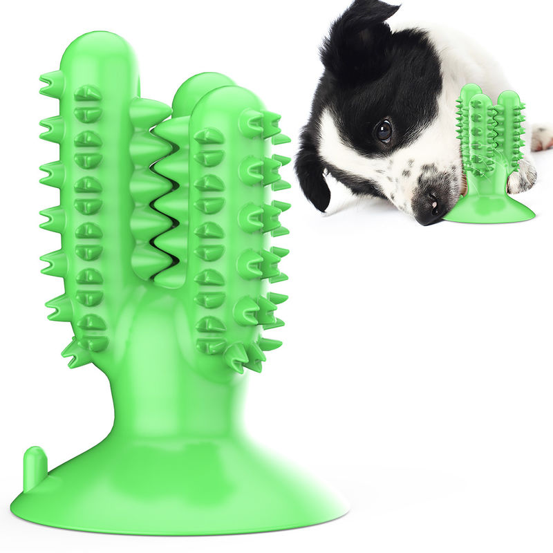 Brinquedos da mastigação do cão do cacto do silicone TPR da escova de dentes do cão para os dentes