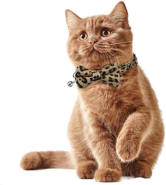 Laço Breakaway de Cat Collar Bells With Cute da curvatura para Kitty Small Dogs Adjustable