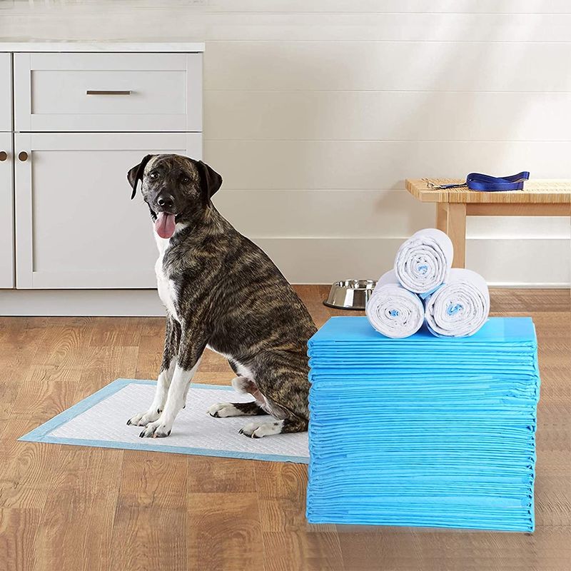 Almofada molhada limpa saudável absorvente super de Cat Training Urine Pee Pads Mat Disposable Dog Diaper Training dos tecidos do cão de estimação