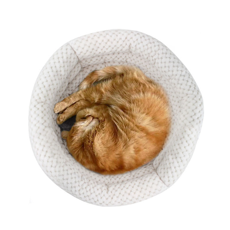 Os animais de estimação por atacado da cama do gato e do cão da forma do copo do afago 2021 colocam com as paredes altas para a casa lavável do animal de estimação do sono profundo