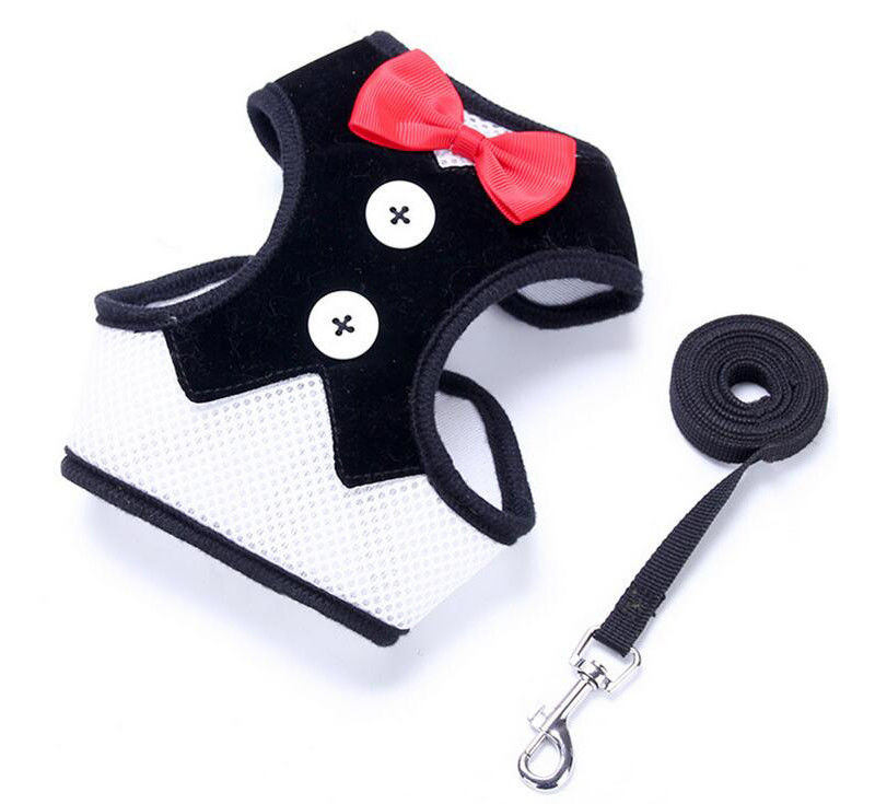 O chicote de fios ajustável da trela do colar ajustou a coleira de cão feito a mão com corda L 35-50cm da veste da tração do laço