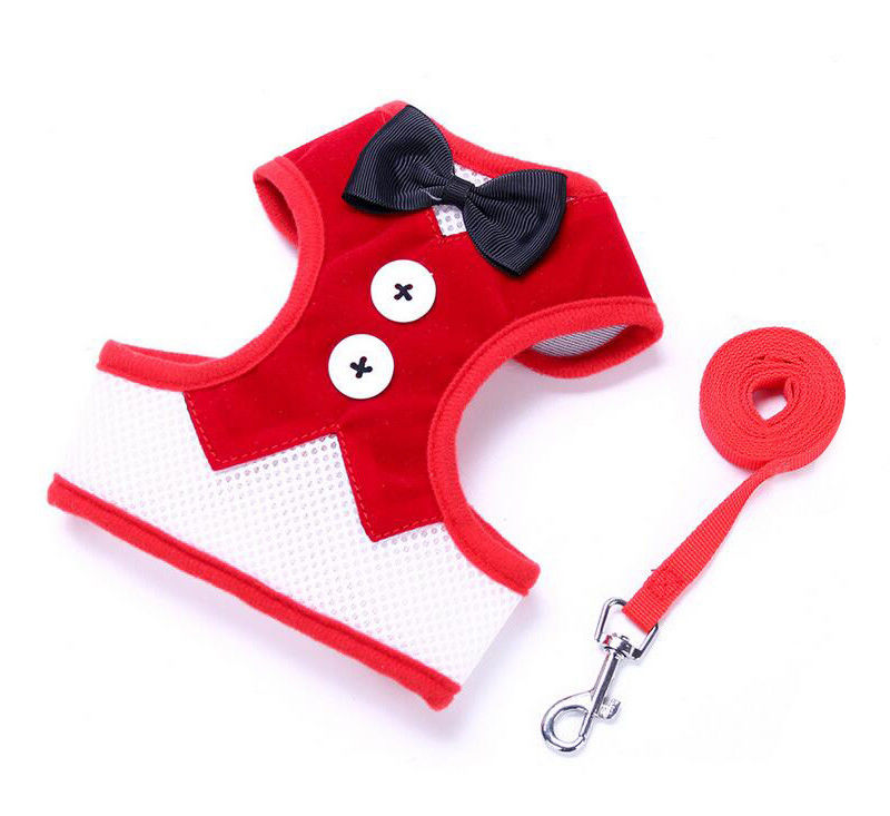 O chicote de fios ajustável da trela do colar ajustou a coleira de cão feito a mão com corda L 35-50cm da veste da tração do laço