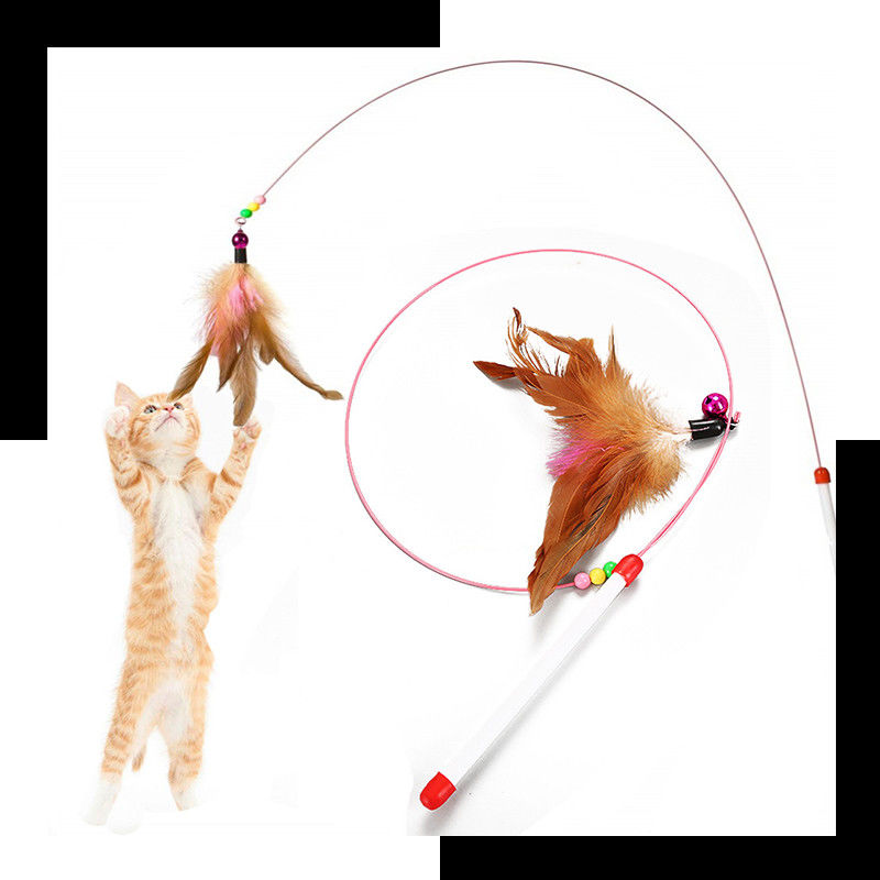 Varinha da provocação de Hallupets Cat Pet Toys Cat Feather