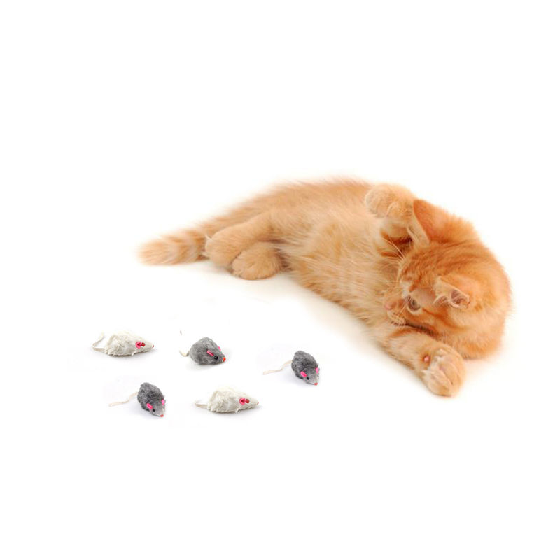 Presente original Bicolourable Mini Mouse Cat Toy Set de Dia das Bruxas com som