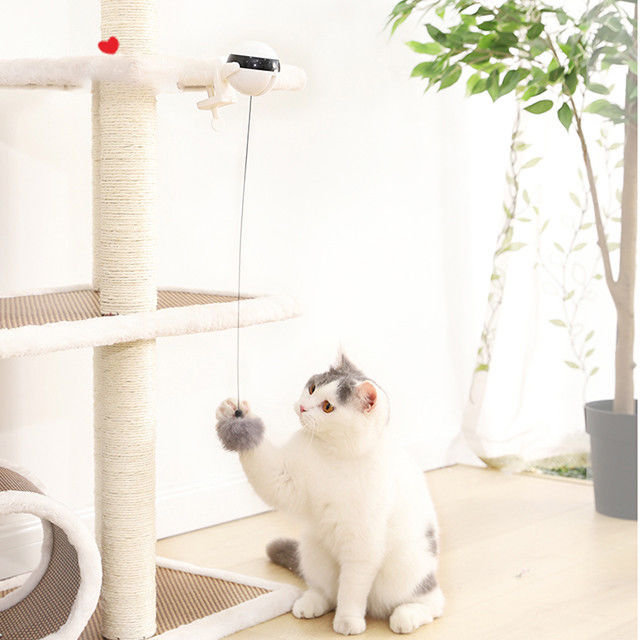 Auto bola eletrônica interativa Cat Pet Toys Funny Stick Cat Teaser Toy do elevador
