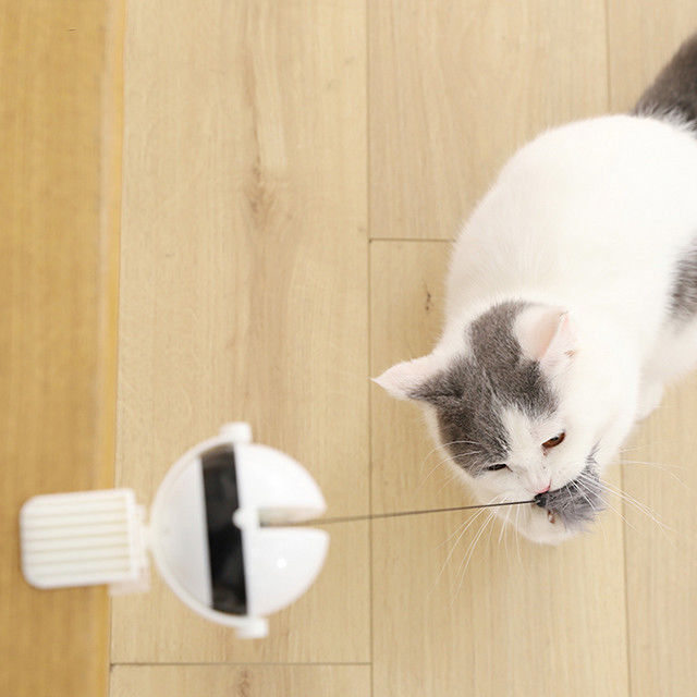 Auto bola eletrônica interativa Cat Pet Toys Funny Stick Cat Teaser Toy do elevador