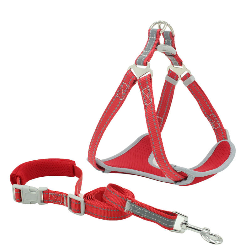 Mesh Reflective Leash And Collar respirável ajustou o jogo da coleira de cão e da trela do grupo da tração da correia da caixa