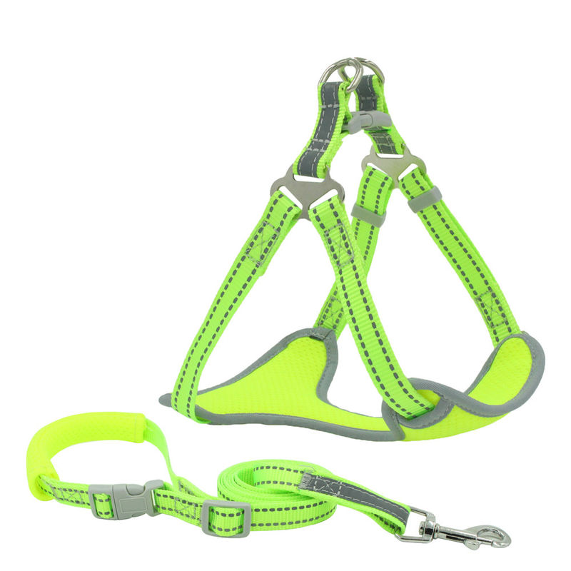 Mesh Reflective Leash And Collar respirável ajustou o jogo da coleira de cão e da trela do grupo da tração da correia da caixa
