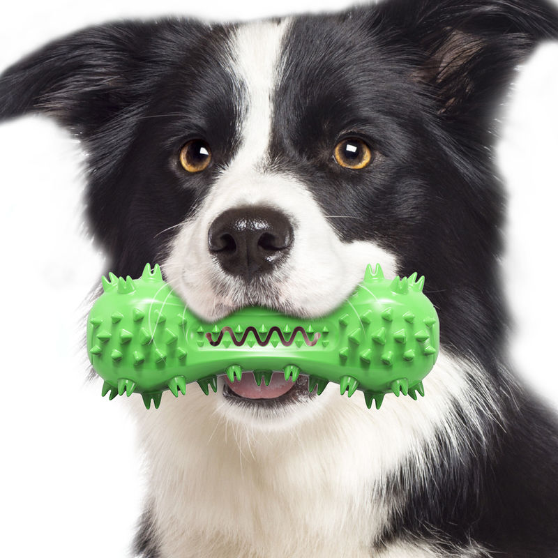 Brinquedos resistentes de borracha naturais Nontoxic 160g da escova de dentes do cão de brinquedos do animal de estimação do cão da mordida