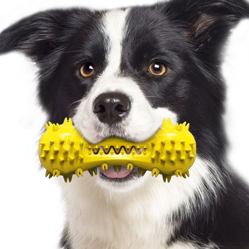 Brinquedos resistentes de borracha naturais Nontoxic 160g da escova de dentes do cão de brinquedos do animal de estimação do cão da mordida