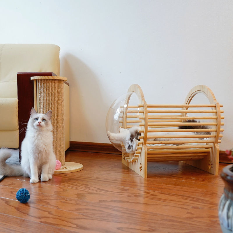 Madeira Cat Bed House With Window da cápsula