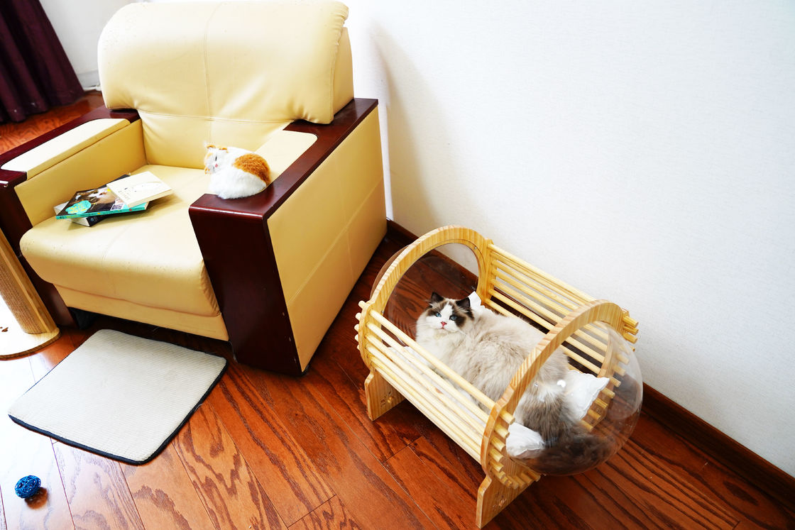 Madeira Cat Bed House With Window da cápsula
