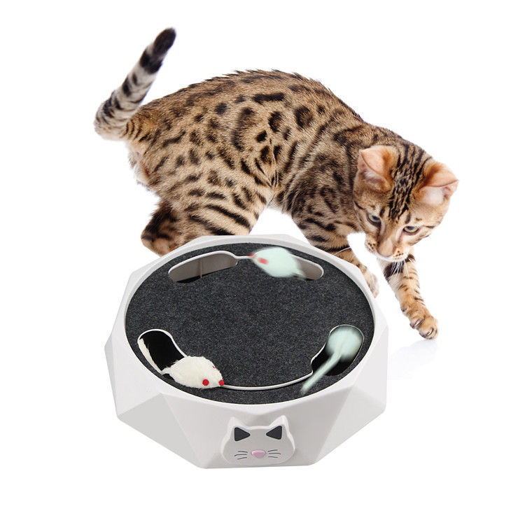 O rato louco que persegue Cat Scratcher Toy Electric Cat brinca com os ratos de corrida 712g