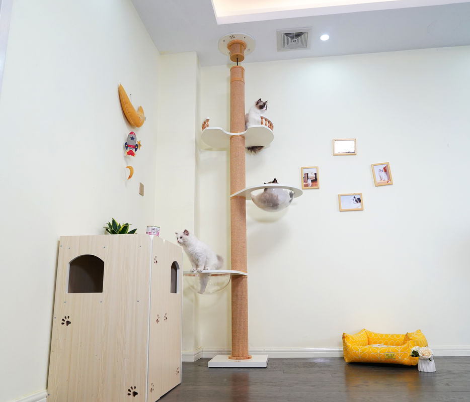 Grande teto de madeira de Cat Climbing Tree Floor To que joga a casa 82*40*87cm