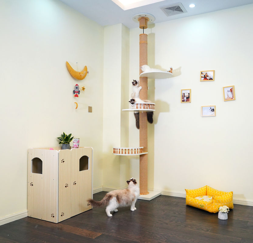 Grande teto de madeira de Cat Climbing Tree Floor To que joga a casa 82*40*87cm