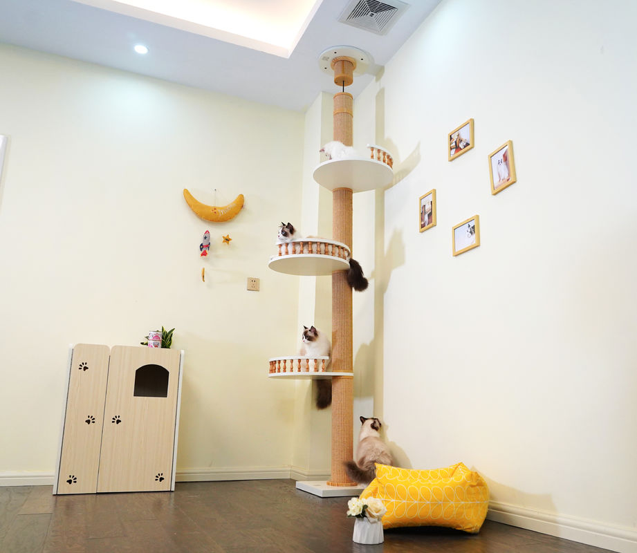 Grande teto de madeira de Cat Climbing Tree Floor To que joga a casa 82*40*87cm