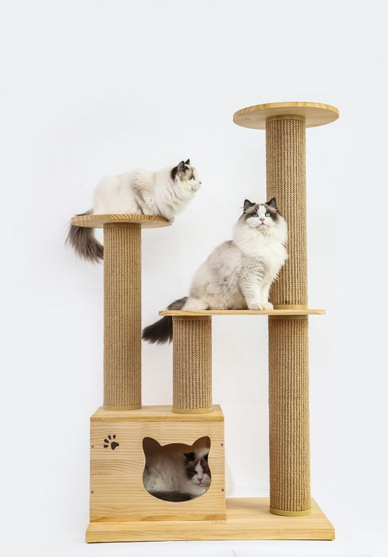 Cama de madeira luxuosa da elevação do animal de estimação das escadas do OEM &amp; do ODM Cat Climbing Tree Furniture Safety