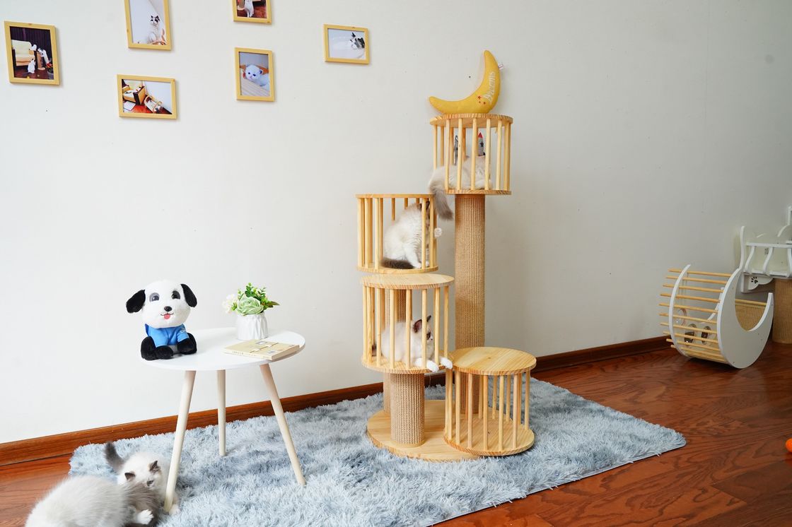 Casa durável Kitten Cat Climbing Tree Tower Condo com risco de cargos