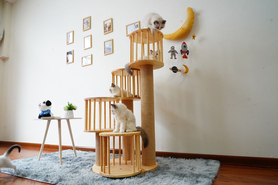 Casa durável Kitten Cat Climbing Tree Tower Condo com risco de cargos
