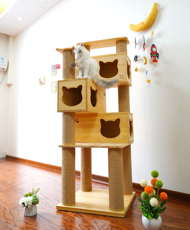 Segurança Cat Climbing Tree Tower de luxe