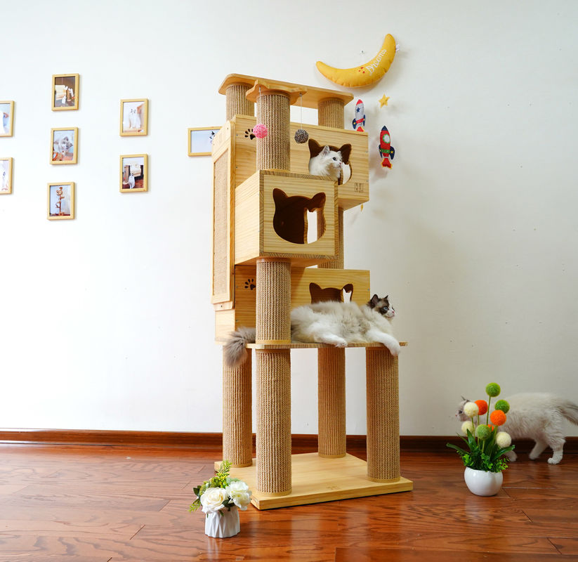 Segurança Cat Climbing Tree Tower de luxe