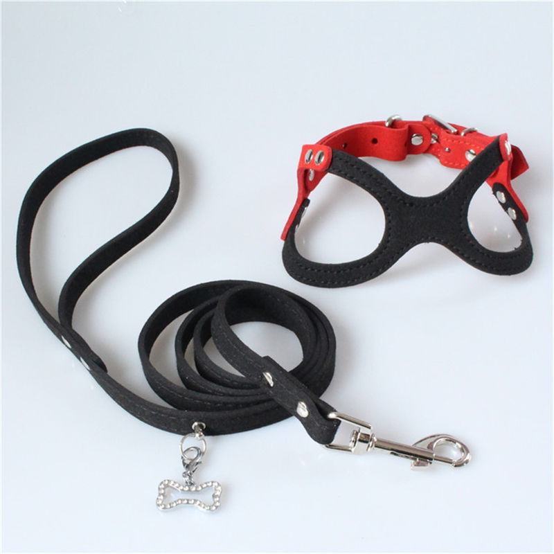 Hallupets Mesh Padded Collar Leash Harness macio ajustou a caixa do cão e a tração traseira