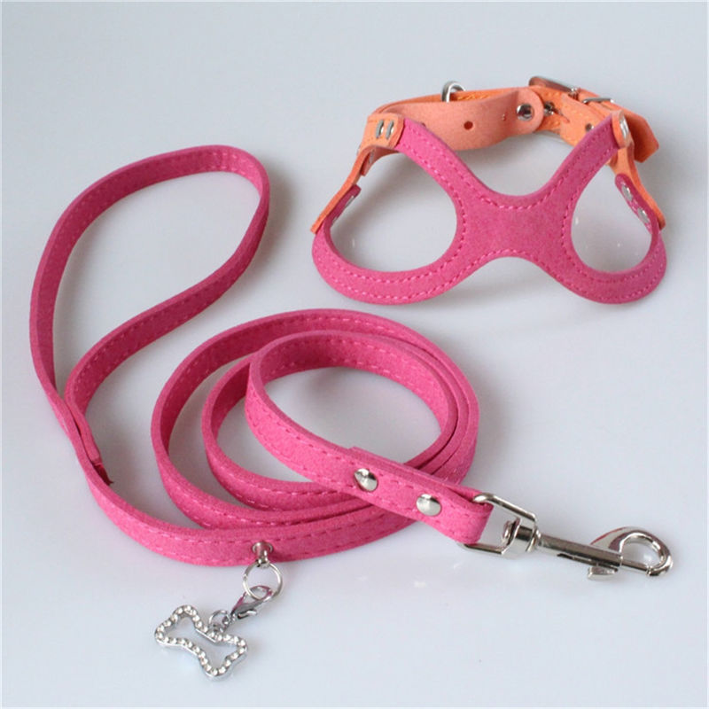 Hallupets Mesh Padded Collar Leash Harness macio ajustou a caixa do cão e a tração traseira