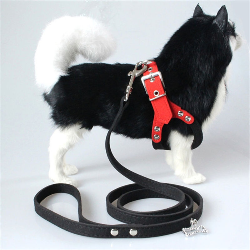 Hallupets Mesh Padded Collar Leash Harness macio ajustou a caixa do cão e a tração traseira