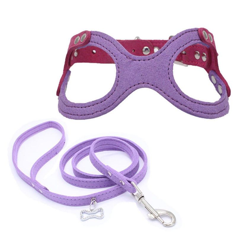 Hallupets Mesh Padded Collar Leash Harness macio ajustou a caixa do cão e a tração traseira