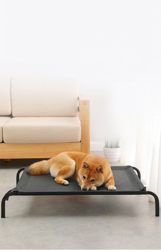 Cama elevado do cão do grande berço confortável de aço da cama do animal de estimação da dobradura do tubo do tamanho com os coxins engrossados do luxuoso