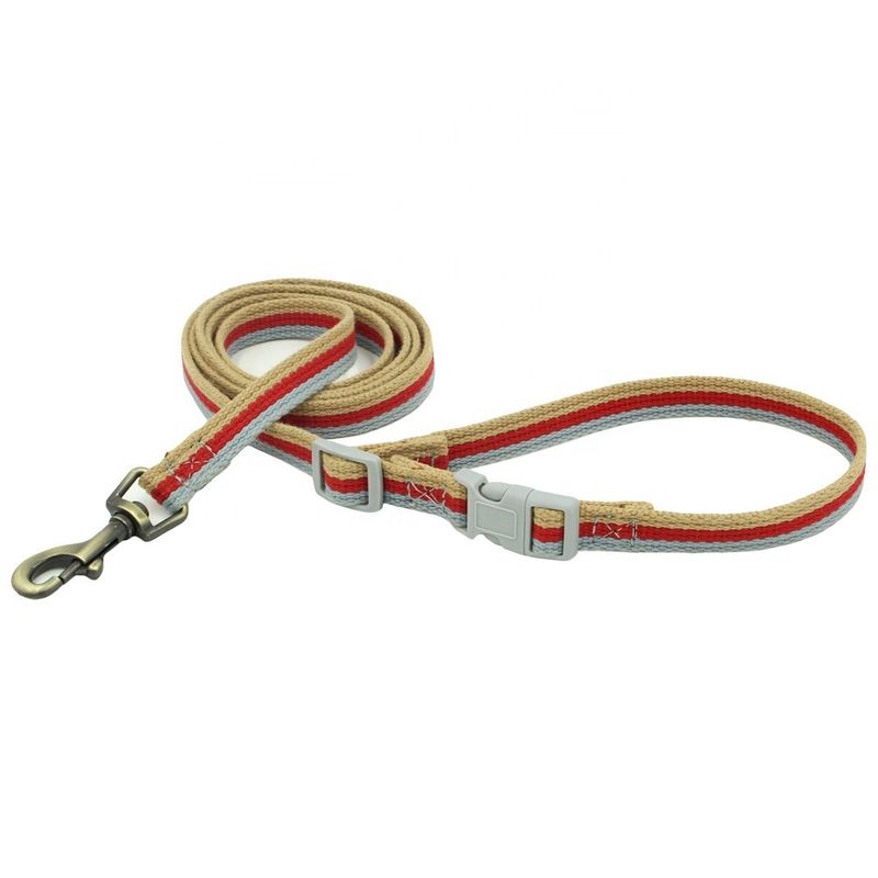 Grupos de bronze gravado do colar e da trela do Webbing da cor da trela 3 do cão da corda da curvatura da liga