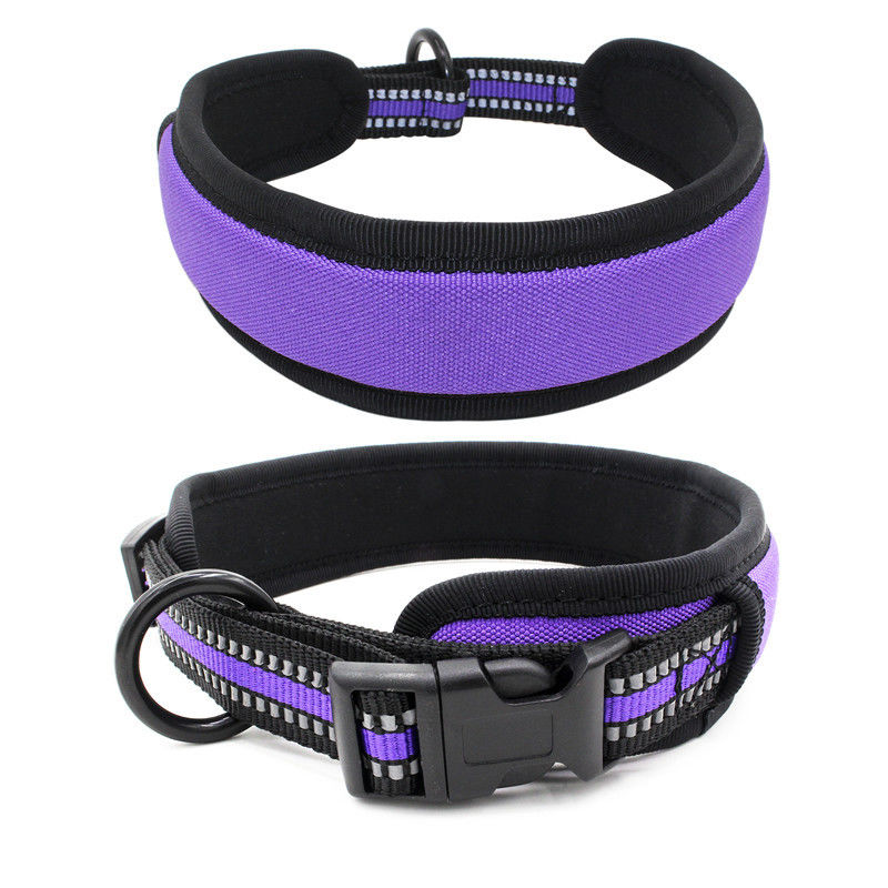 O neopreno que alinha a trela da coleira de cão ajustou o colar reflexivo da curvatura da liberação rápida do Webbing com a trela do cão do grupo da corda da tração