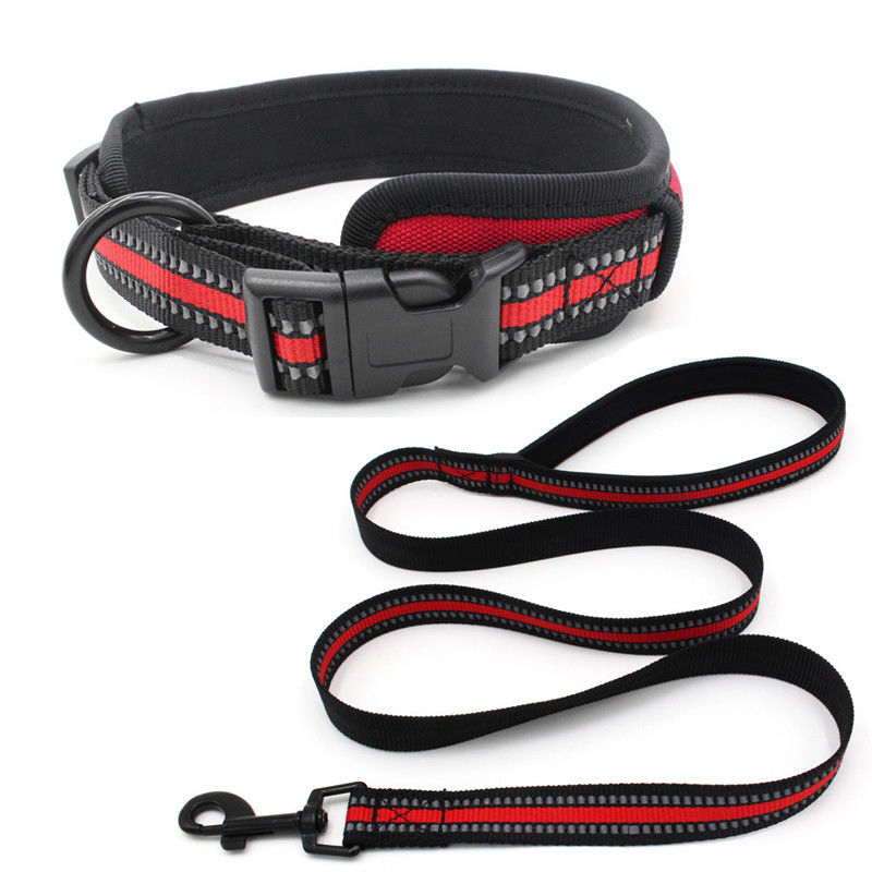 O neopreno que alinha a trela da coleira de cão ajustou o colar reflexivo da curvatura da liberação rápida do Webbing com a trela do cão do grupo da corda da tração