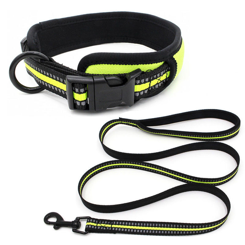 O neopreno que alinha a trela da coleira de cão ajustou o colar reflexivo da curvatura da liberação rápida do Webbing com a trela do cão do grupo da corda da tração