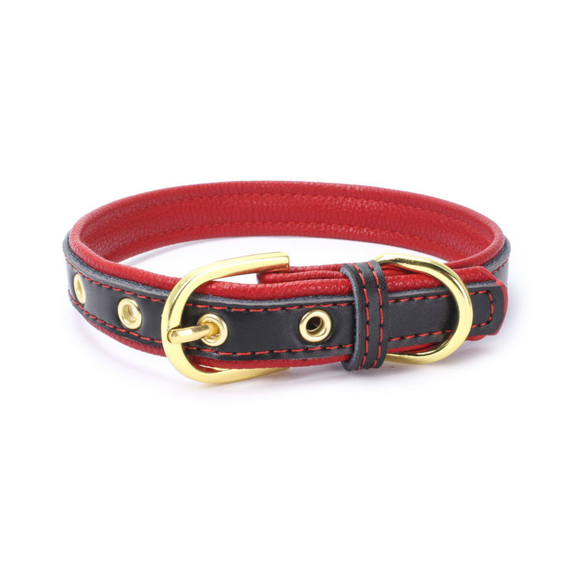 Colar de cão de estimação colorido macio contínuo de couro do plutônio para o colar seguro ajustável da grande correia média pequena do pescoço dos cães