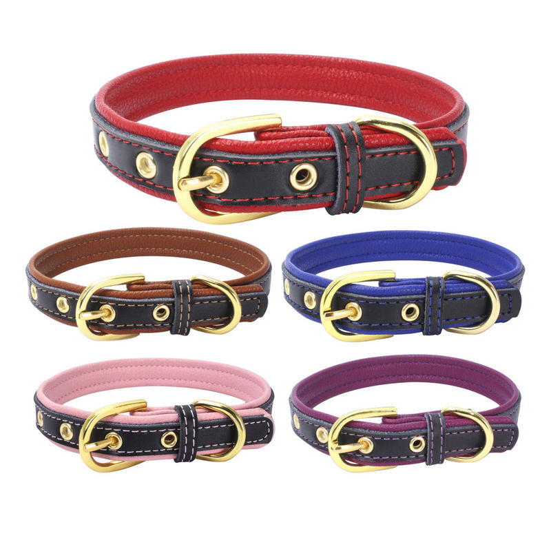 Colar de cão de estimação colorido macio contínuo de couro do plutônio para o colar seguro ajustável da grande correia média pequena do pescoço dos cães