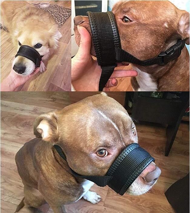 O chicote de fios de nylon da trela do colar do focinho do cão ajustou mordida acolchoada macia da tampa da boca do cão a anti