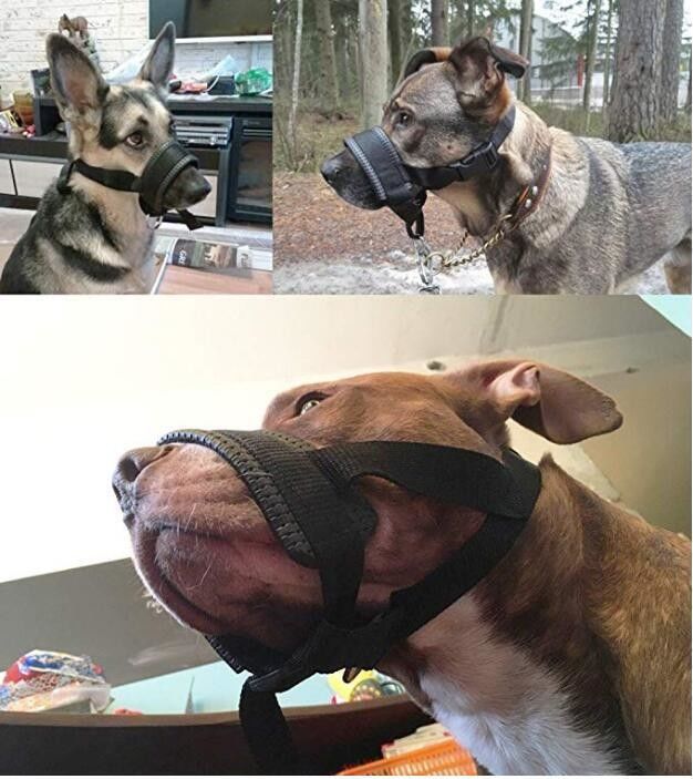O chicote de fios de nylon da trela do colar do focinho do cão ajustou mordida acolchoada macia da tampa da boca do cão a anti