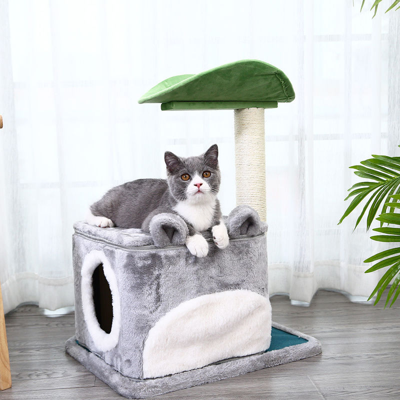 Nível de luxe de Cat Climbing Frame Tree Multi da segurança com a caverna que risca o tamanho 61*41*132cm dos cargos M