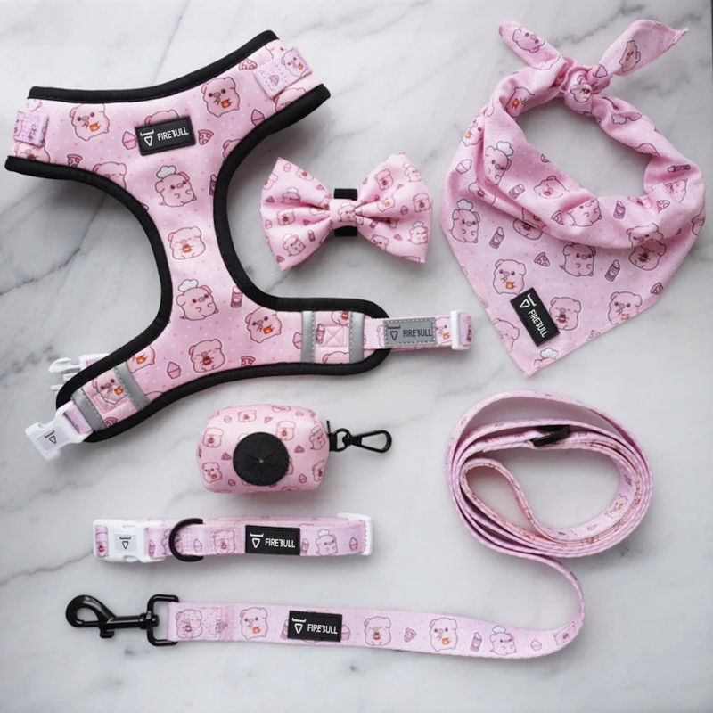 Grupo macio de Mesh Nylon Pattern Dog Collar e da trela